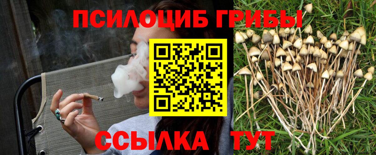 Псилоцибиновые грибы мицелий  Псилоцибиновые грибы Psilocybe  Вход с VPN  Азов 