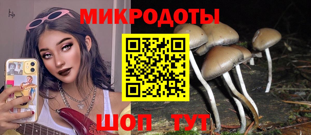 Псилоцибиновые грибы MAGIC MUSHROOMS Азов
